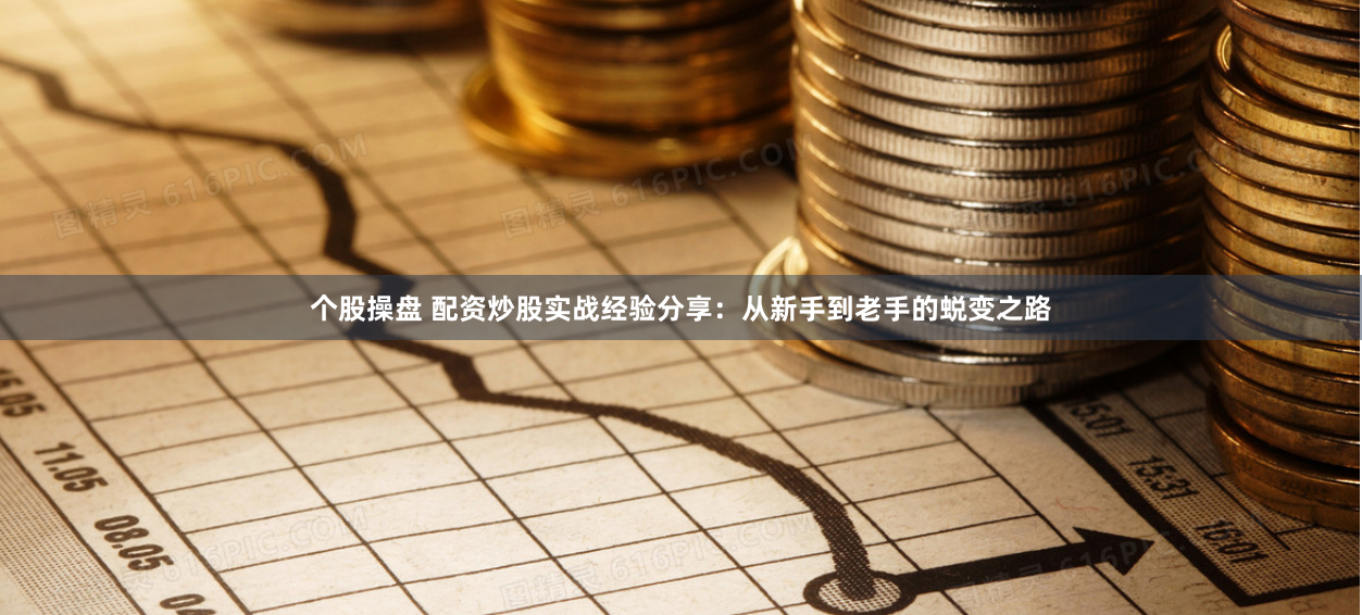 从新手到高手的蜕变之旅，股票鉴赏之路