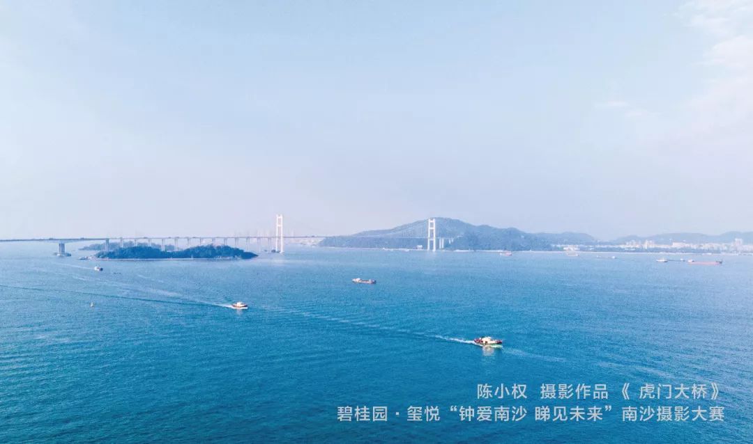 虎门大桥最新进展，迈向雄伟未来的跨越之路