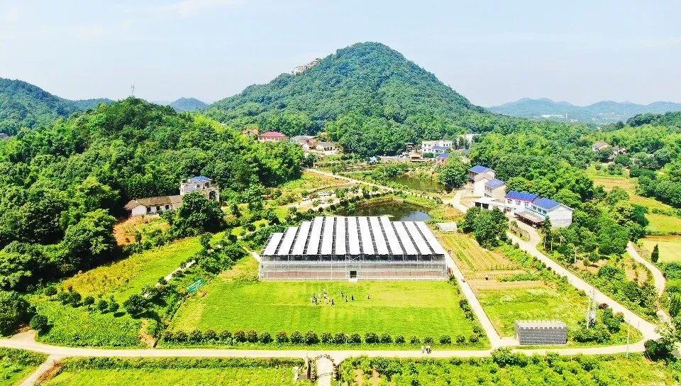 最新棋牌游戏平台，自然美景的探险之旅开启