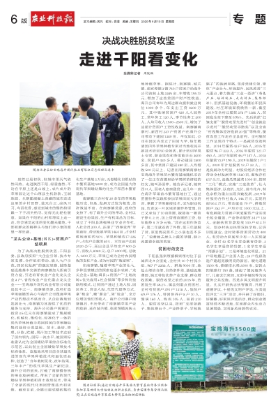 最新千阳动态，引领科技潮流，提升生活品质