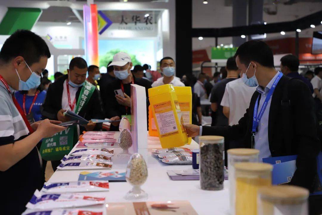 萧邦新款亮相，小巷中的隐秘新品珍宝