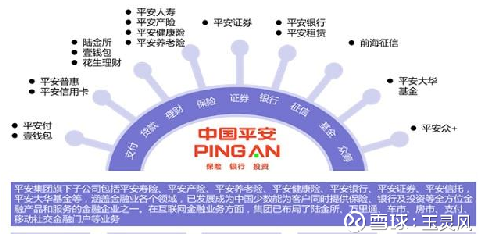 平安最新T型图深度解析与观点论述
