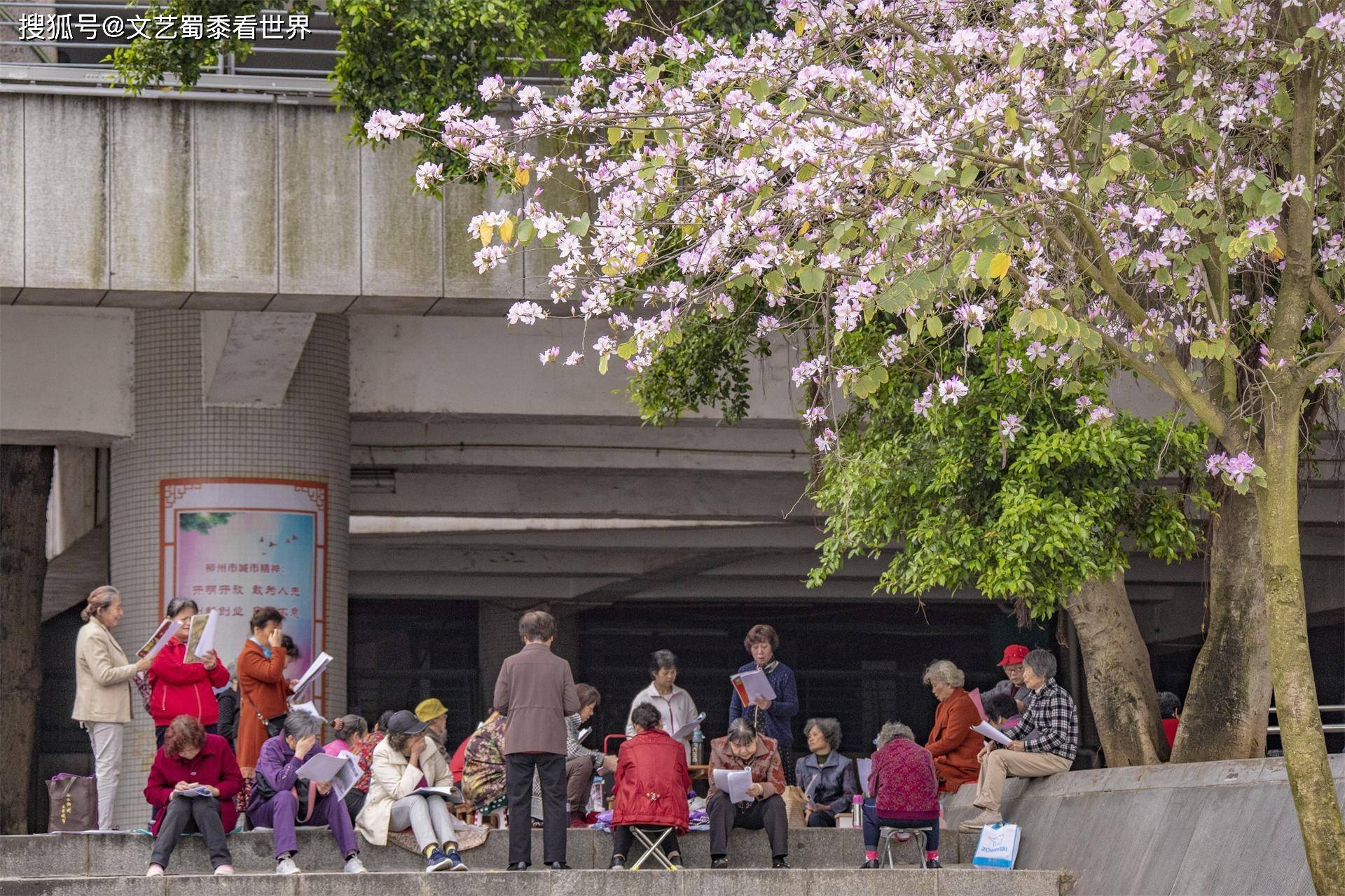 汉网最新资讯，城市角落的温馨日常报道