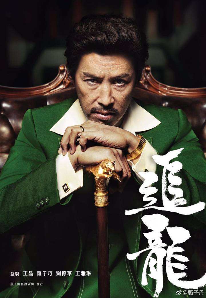 追龙演员的成长之路，从荧幕新星到影视界璀璨之星