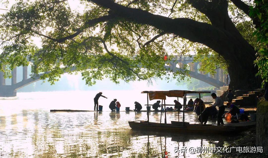 柳州最新招聘，探索自然美景，寻找内心平静的旅程
