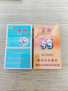 云端香烟价格深度解析，科技产品与香烟市场的交融之道
