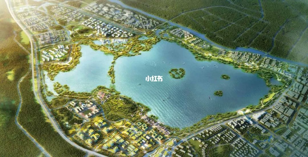 老余杭南湖最新资讯，高科技产品引领未来生活