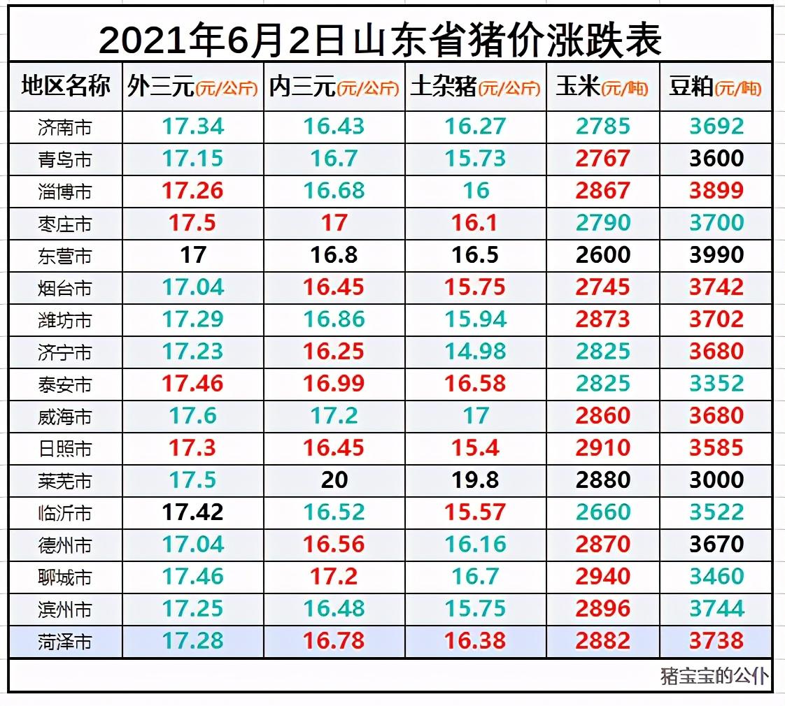 山东花生今日最新价格及分析概述