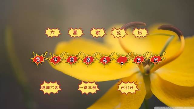 澳门4949最快开奖结果,专业数据点明方法_模块版57.642