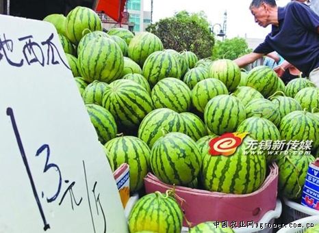西安西瓜价格走势分析，市场动态、市场预测与趋势展望