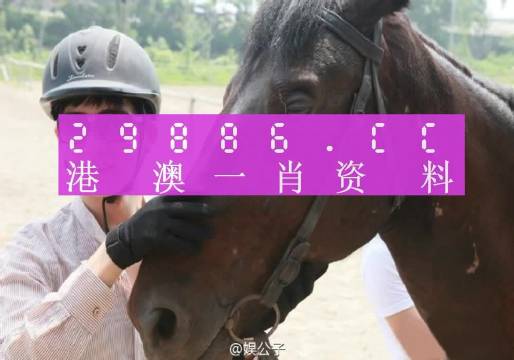 澳门一肖一码一必中一肖同舟前进,数据解析引导_光辉版57.782