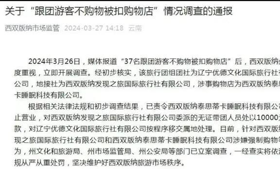 最新处罚通报及其编写指南