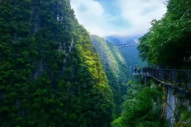 凤仙高校电影，探寻自然美景，寻觅内心宁静之旅