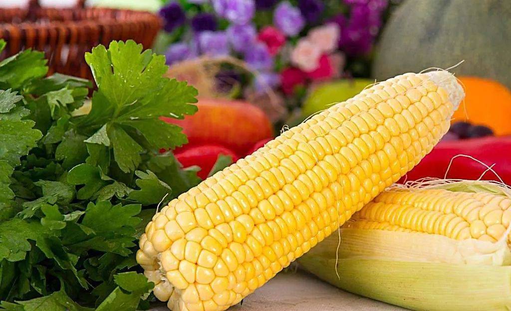 夏日故事，揭秘玉米最新价格之谜