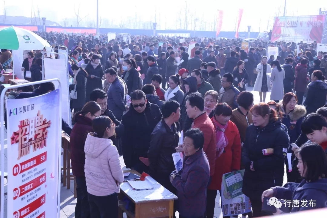 行唐最新招聘，友情与工作的和谐交响会