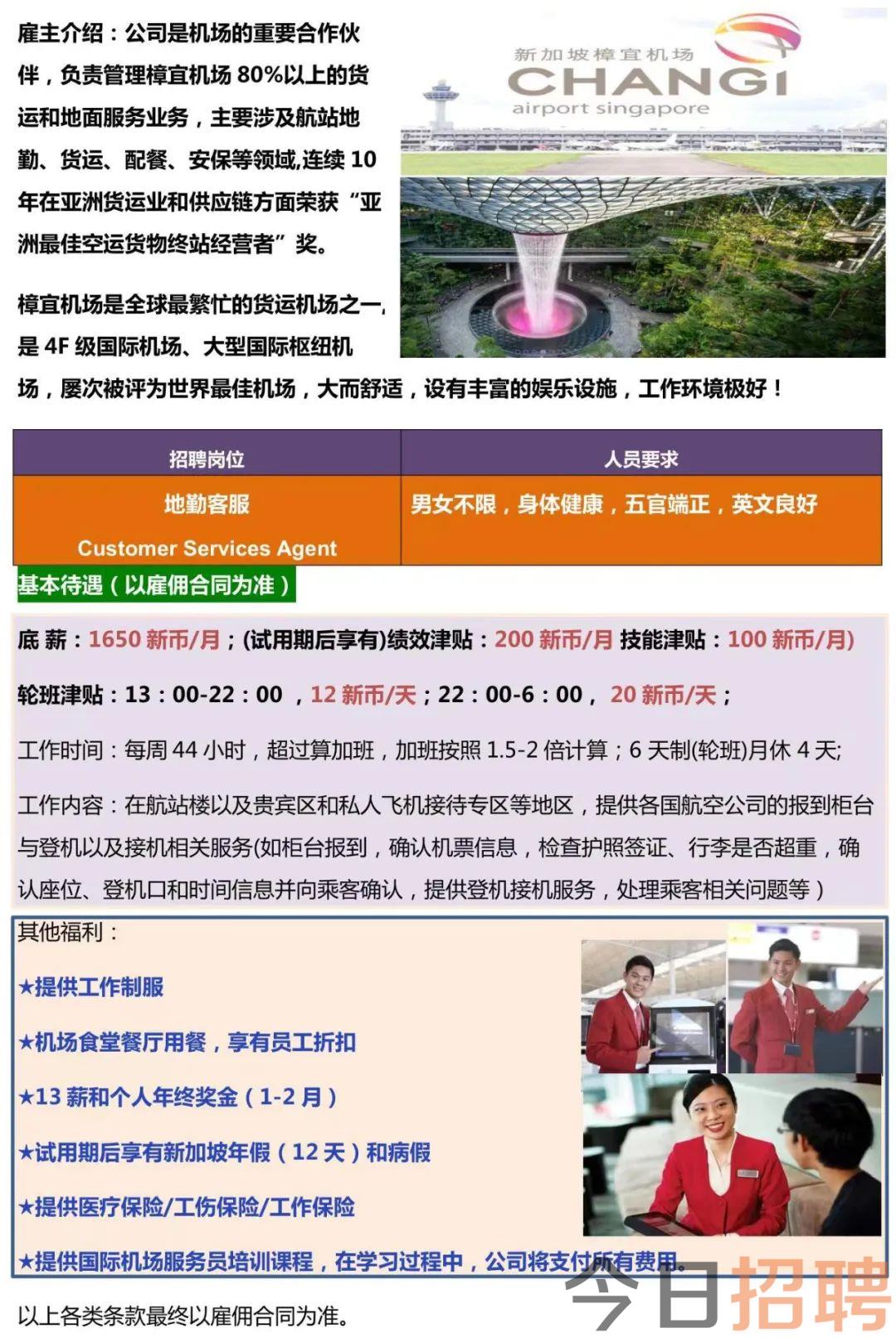 新加坡最新招聘信息大揭秘，职位空缺与求职指南📢