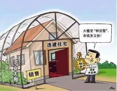 大棚房最新政策解读与概述