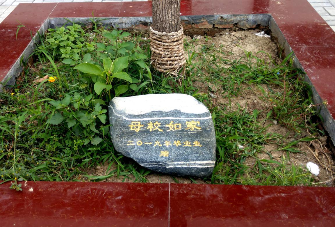 阜南最新招聘信息，开启职业成长之旅