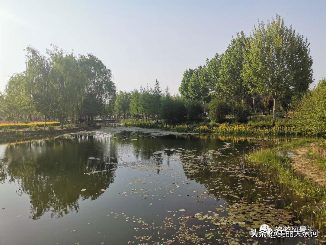探索自然美景之旅，最新手机相机下载邀请