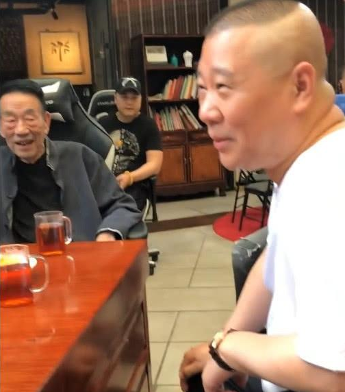 杨少华最新视频指南，从初学者到进阶用户的全方位学习内容及观看指南