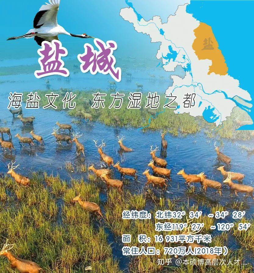 盐城最新招募活动，探索魅力之都的旅程开启！