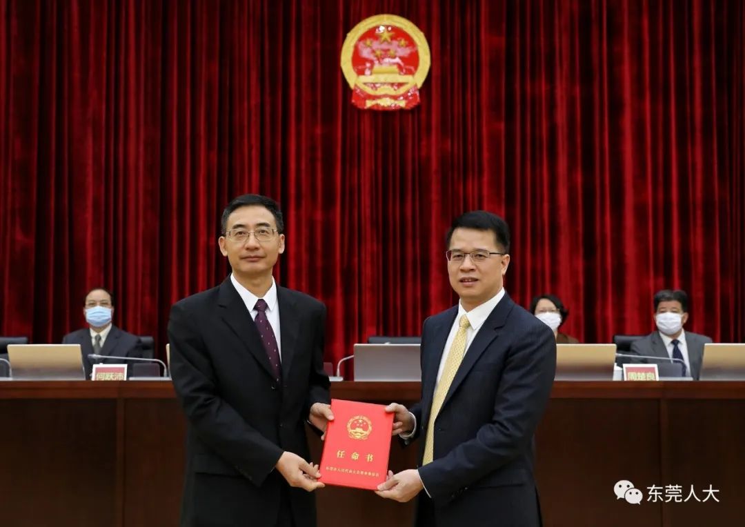 广东最新人事任免概览，人事变动概述及分析