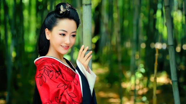 杨蓉最新电视剧，时代之光下的璀璨篇章