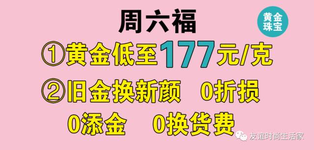 阳春最新招聘，友情、机遇与家的温馨交汇点