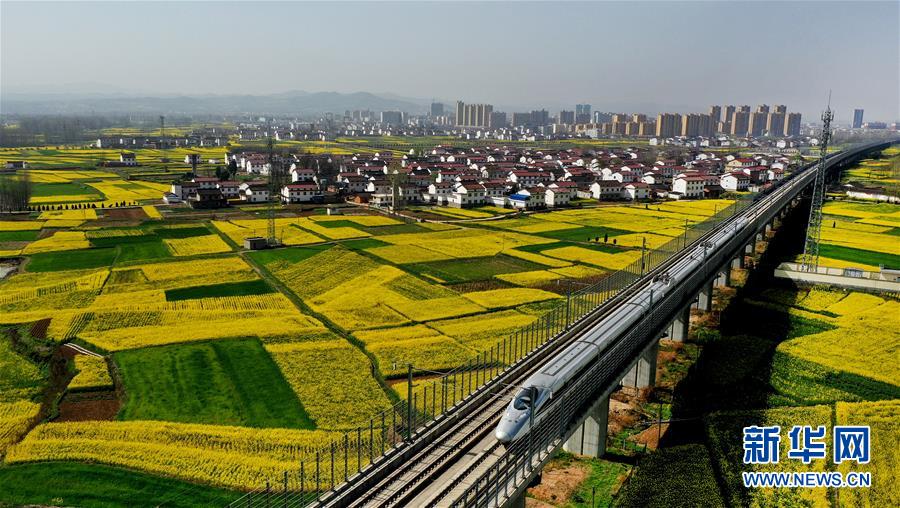洋县城市角落的温馨日常最新报道