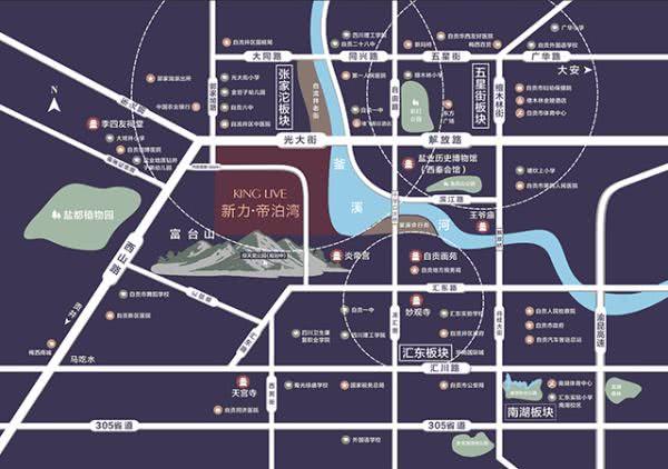 新力地产动态更新，变革之力成就梦想舞台