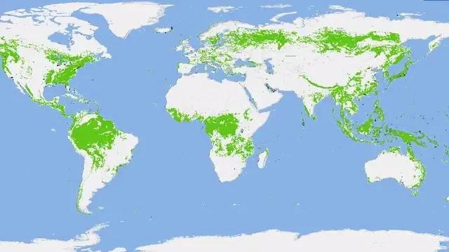 森林最新地图详解，初学者与进阶用户的步骤指南