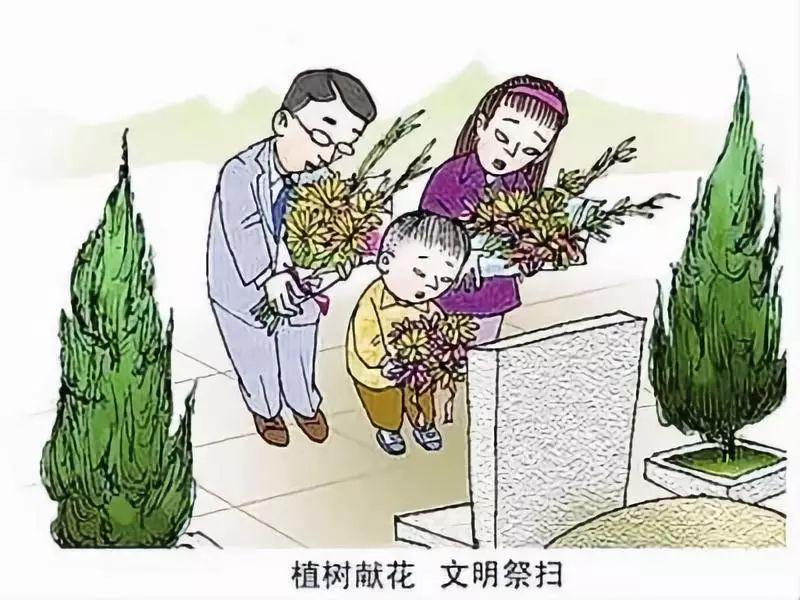 清明祭扫最新通知，传统习俗与现代文明的完美交融