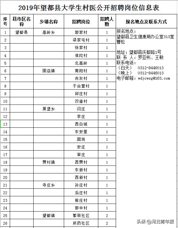 望都最新招聘信息详解，招聘步骤指南与资源更新速递
