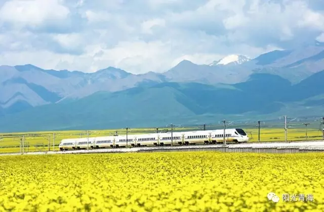 贵南高铁最新动态，自然美景之旅即将启程，心灵探索之旅即将开启