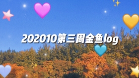 友情之旅的温馨时光，两天一夜最新体验