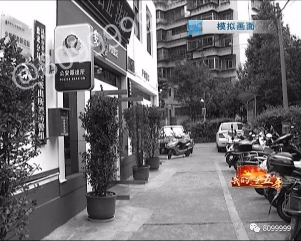青岛最新落户政策解析，探寻小巷风情的独特魅力