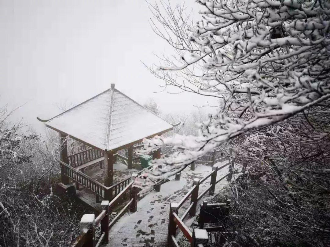 金寨新闻最新动态，探索自然美景之旅，寻找内心平和的旅程