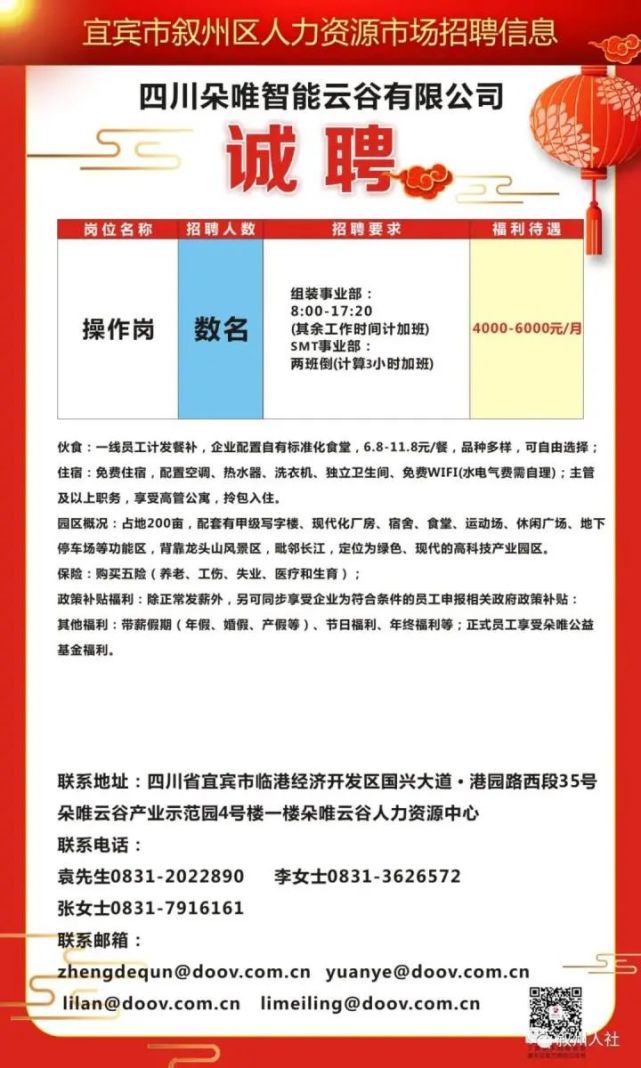 宾县最新招聘信息全面解析与观点探讨