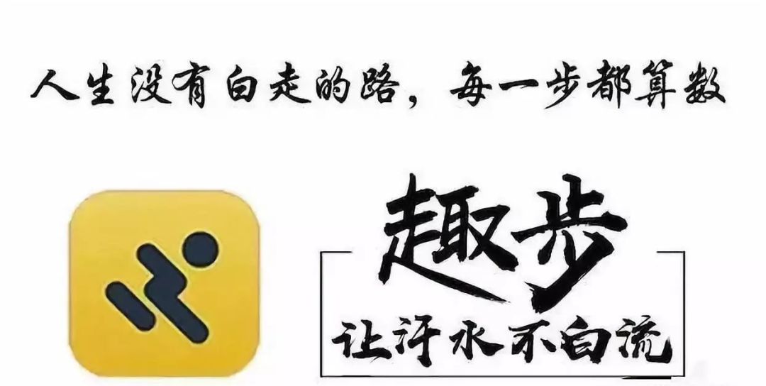 趣步最新动态，城市步伐中的友情旋律