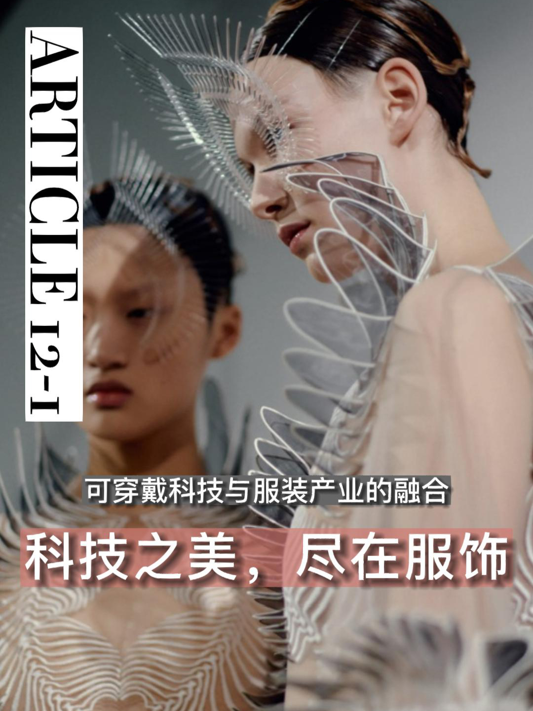 Caoliu最新，科技、时尚与生活方式的完美融合