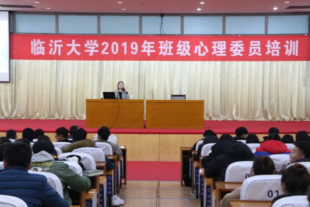 临沂事件最新动态，力量变化与自信成长的旋律