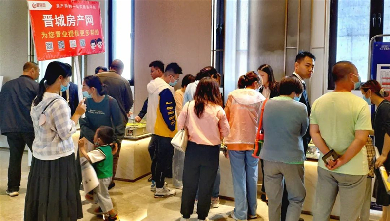 貂皮价格最新行情深度解析，市场走势与市场动态全面揭示