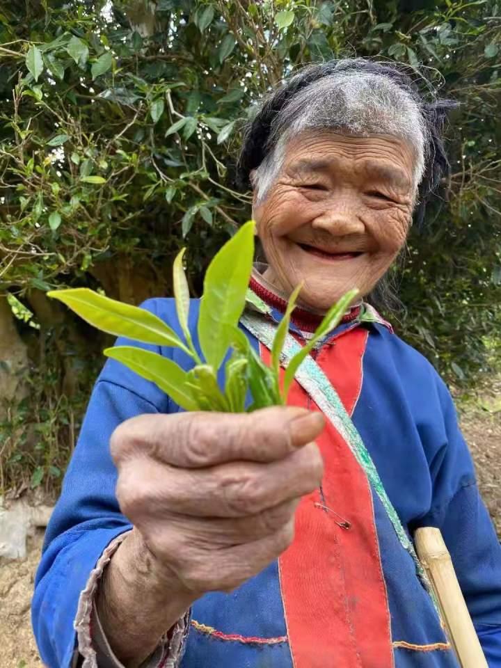 保山小巷深处的独特风味，探索一家隐藏版特色小店的最新新闻