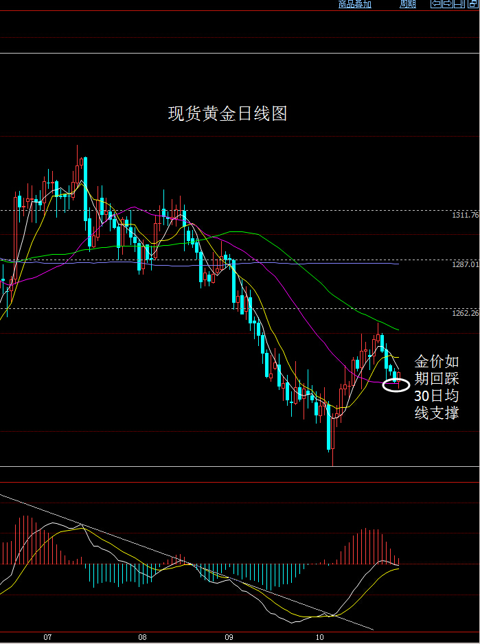 重庆旭阳教育 第56页