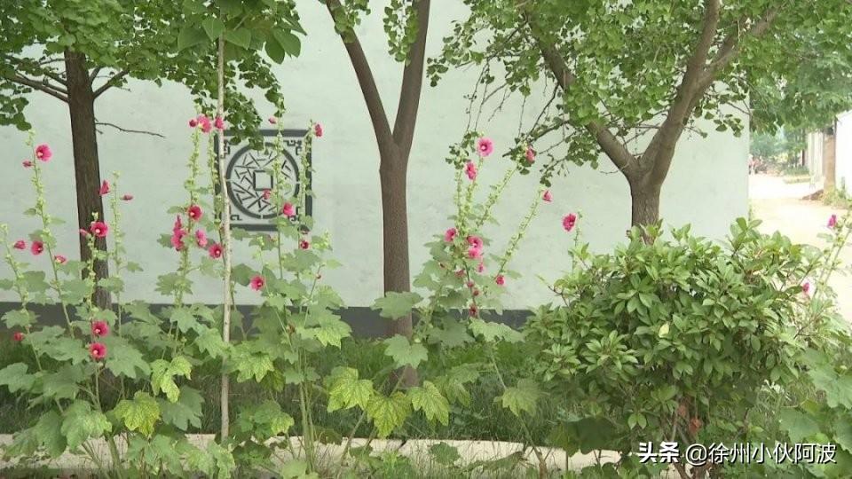 南京桥北最新规划，自然美景的探索之旅启动