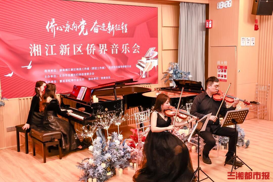 钢琴块最新版，音符间的心灵纽带