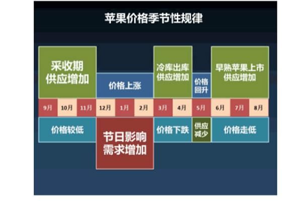 苹果期货最新价格详解，步骤指南与价格动态更新关注指南