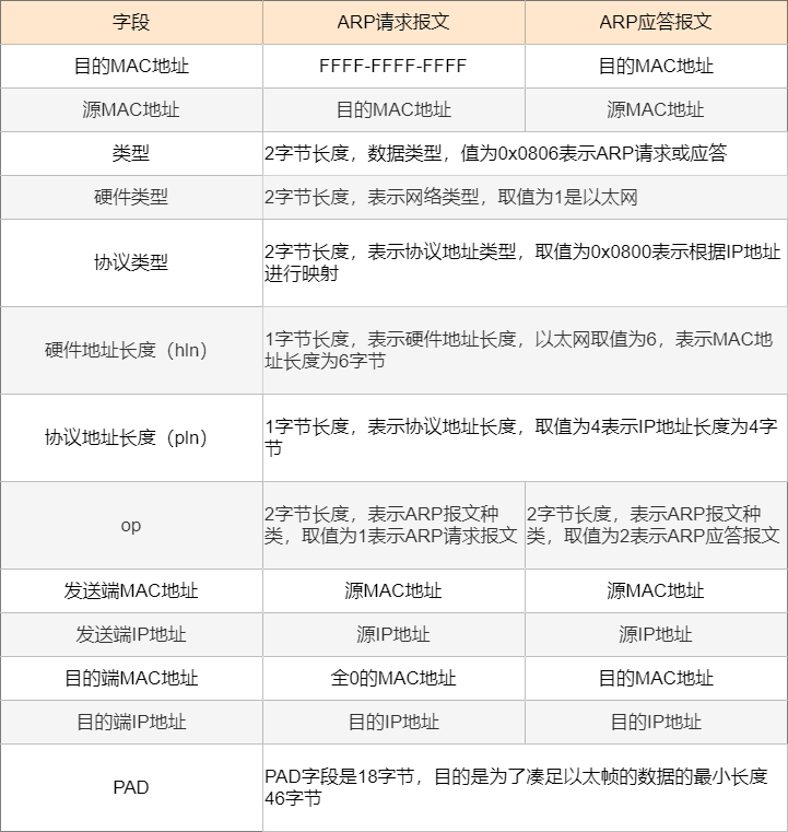 最新世界首富，解析与观点阐述的全方位视角