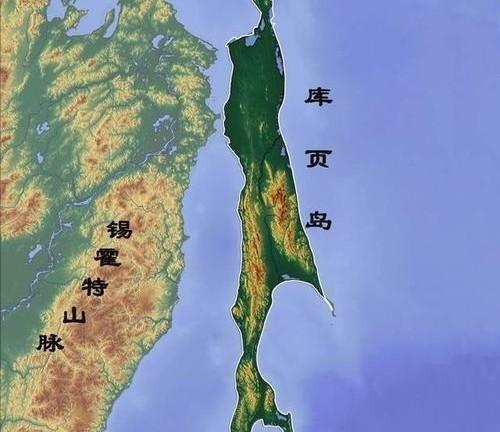 中印最新视频，日常趣事与跨界友情的独特纽带