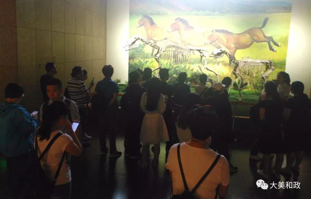 格尔木最新新闻报道